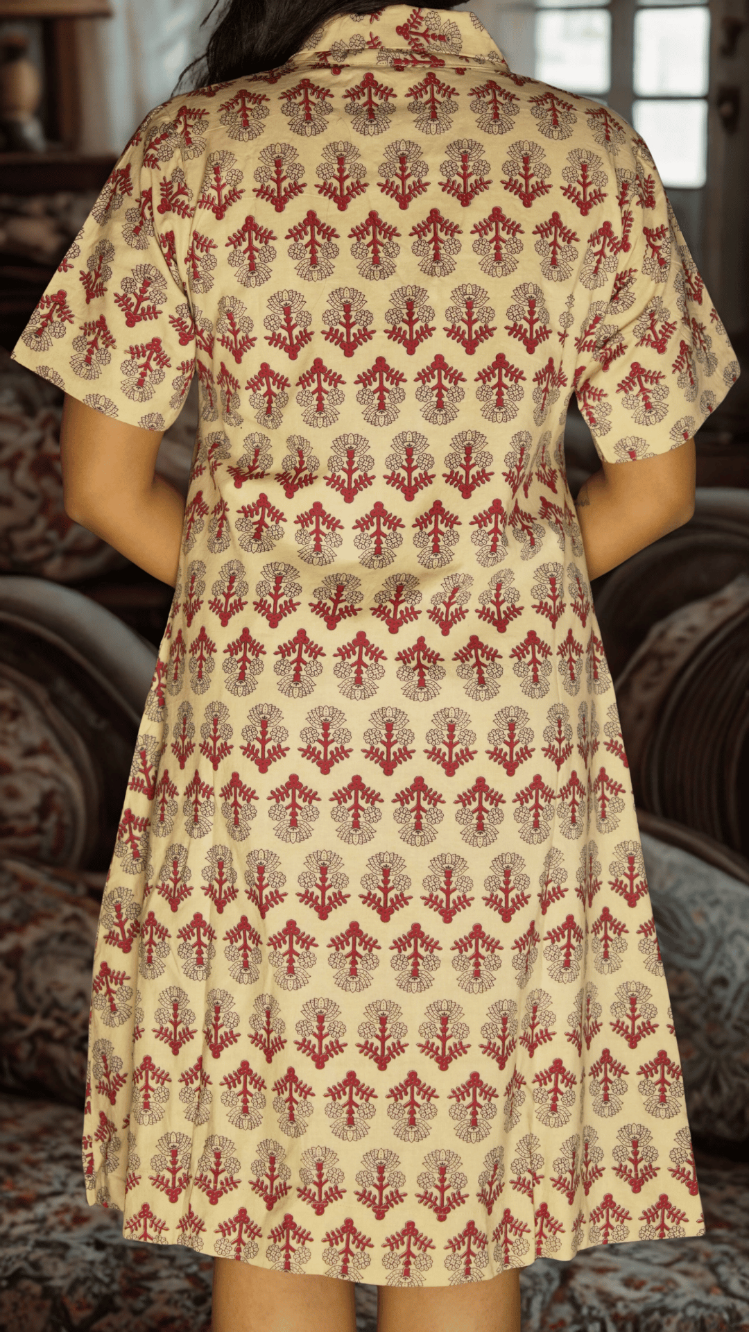 COLLAR BELLE DRESS