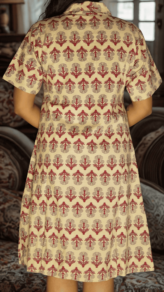 COLLAR BELLE DRESS