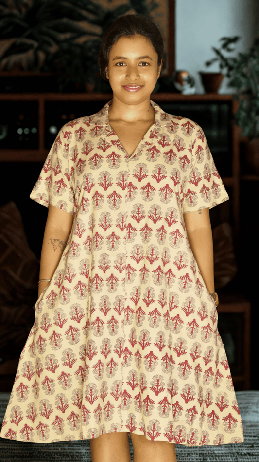 COLLAR BELLE DRESS